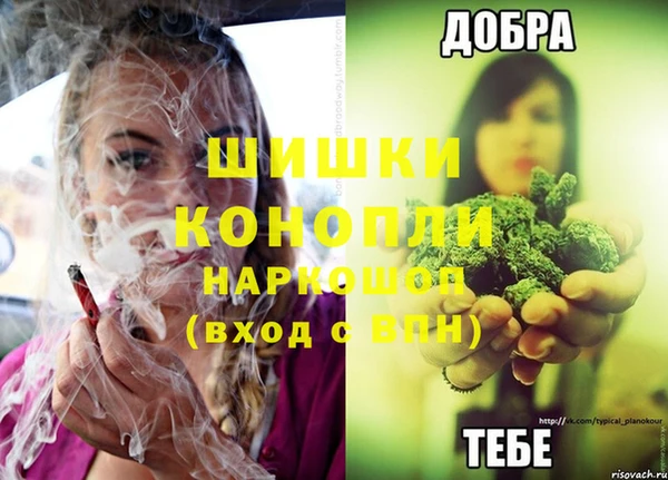 не бодяженный Няндома