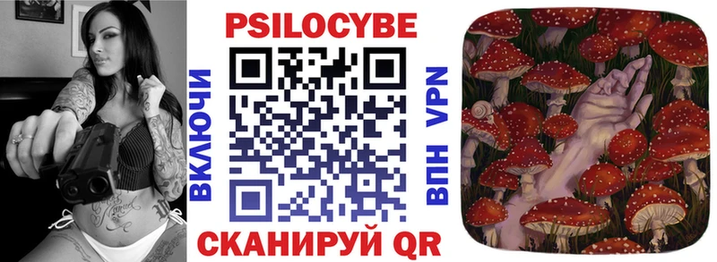 MEGA как войти  Рошаль  Псилоцибиновые грибы мухоморы 